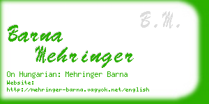 barna mehringer business card